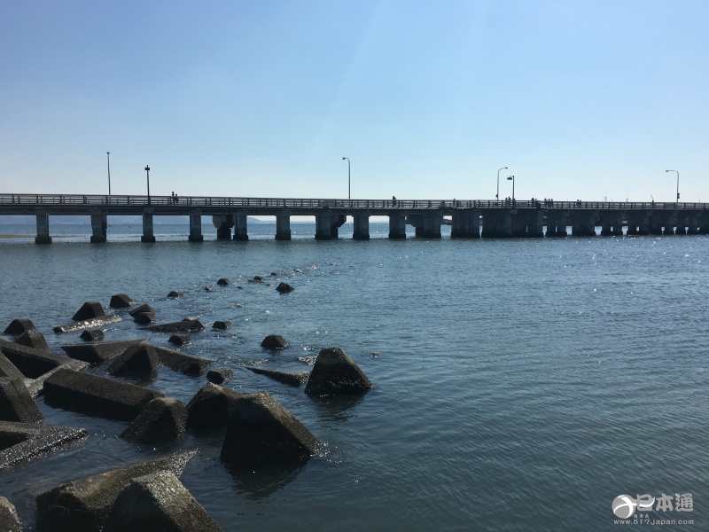 樱木花道原型风景 江之岛治愈之旅