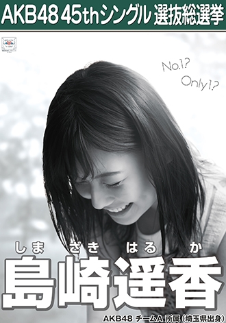 第八届AKB48总选举各成员个性海报公开