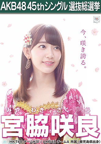 第八届AKB48总选举各成员个性海报公开