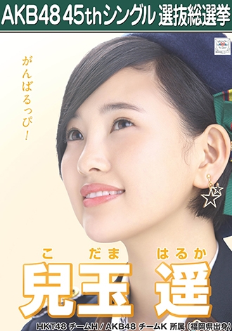 第八届AKB48总选举各成员个性海报公开