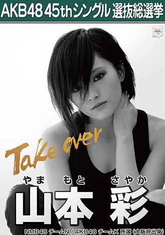 第八届AKB48总选举各成员个性海报公开