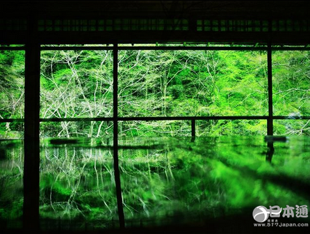 令人惊叹的美 日本的水月镜花