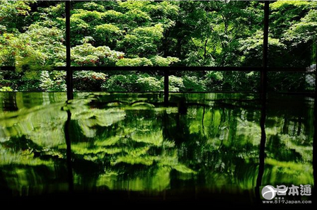 令人惊叹的美 日本的水月镜花
