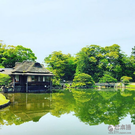 令人惊叹的美 日本的水月镜花