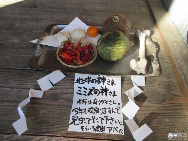 蚯蚓也能当神使？这些神社太乱来