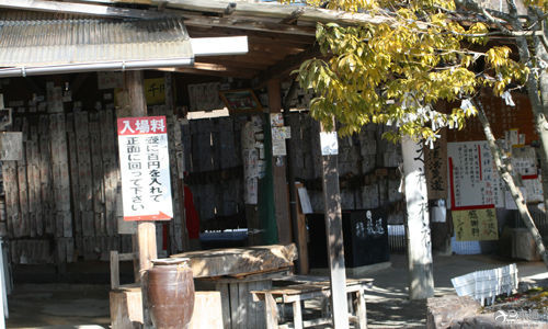 蚯蚓也能当神使？这些神社太乱来