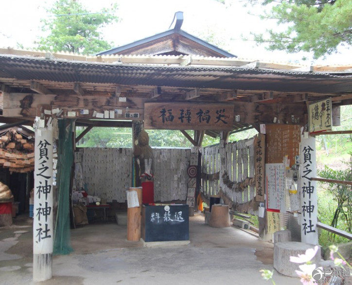 蚯蚓也能当神使？这些神社太乱来