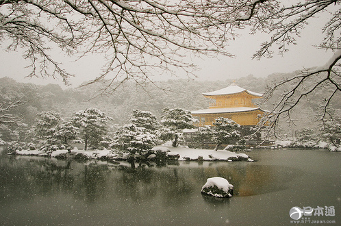 夏日想雪！真想来一场纯白之旅