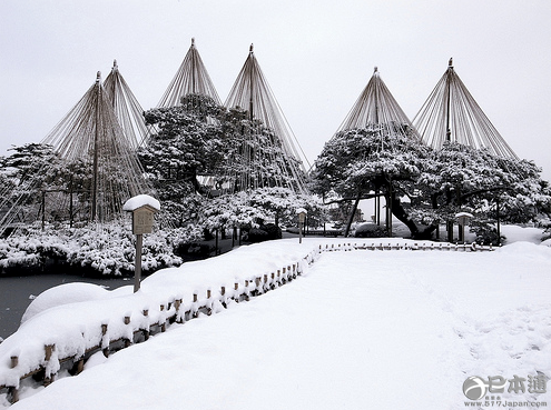 夏日想雪！真想来一场纯白之旅