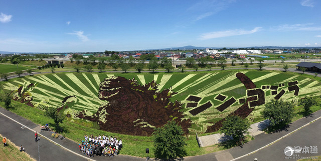 日本青森县稻田画“哥斯拉”迎最佳观赏期