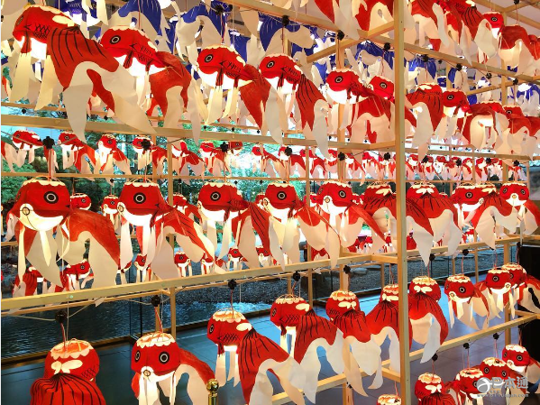 治愈！快到柳井看金鱼灯笼祭吧