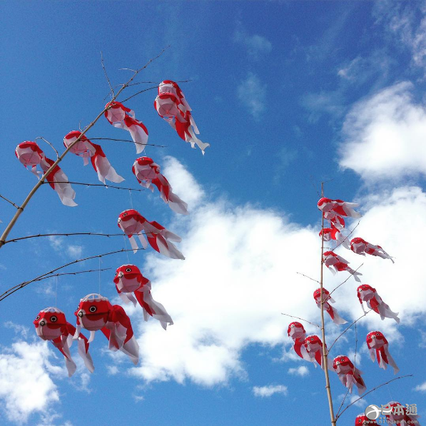 治愈！快到柳井看金鱼灯笼祭吧