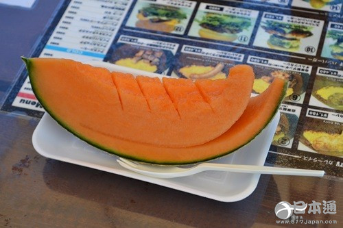 从北上广逃离之后去哪里？去北海道看花海吧