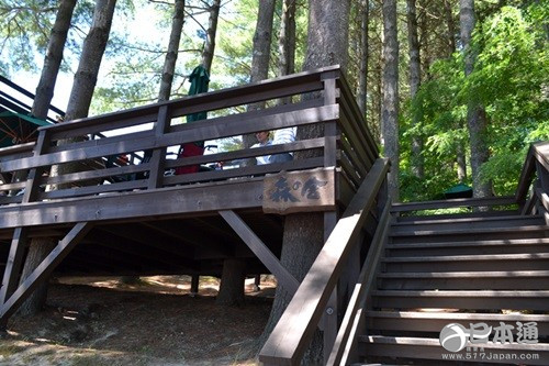 从北上广逃离之后去哪里？去北海道看花海吧