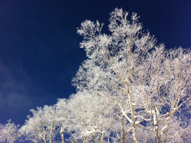 这10个冬季景象,死之前一定要亲眼看一看 这10个冬季景象,死之前一定要亲眼看一看