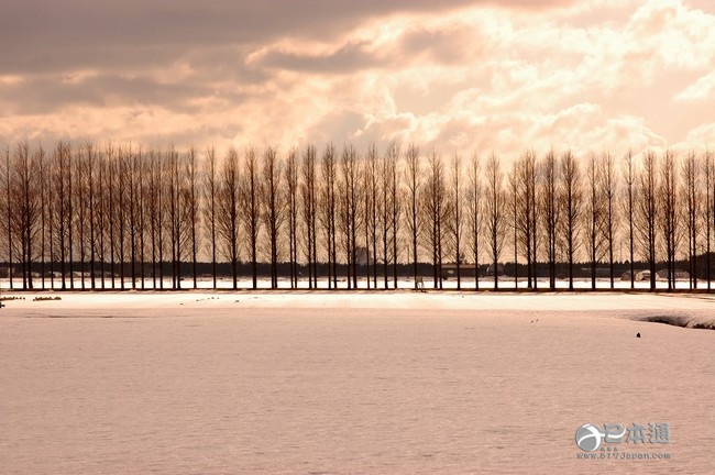 走吧,带你去看日本最美的秋天 走吧,带你去看日本最美的秋天