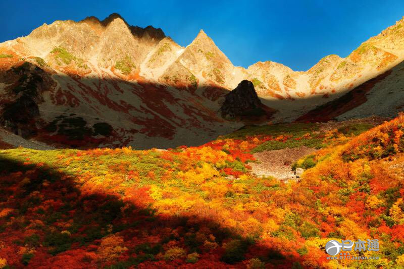 走吧,带你去看日本最美的秋天 走吧,带你去看日本最美的秋天