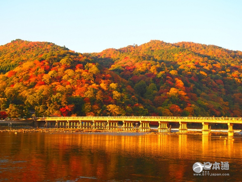 走吧,带你去看日本最美的秋天 走吧,带你去看日本最美的秋天