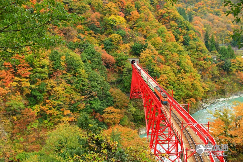 走吧,带你去看日本最美的秋天 走吧,带你去看日本最美的秋天