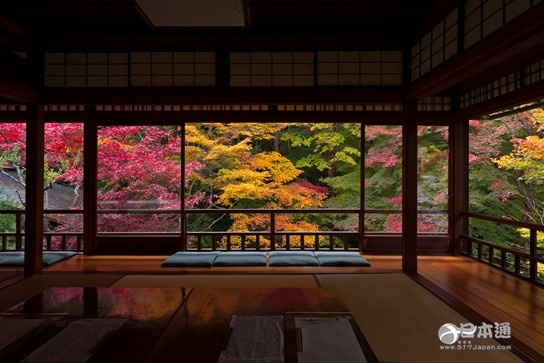 走吧,带你去看日本最美的秋天 走吧,带你去看日本最美的秋天