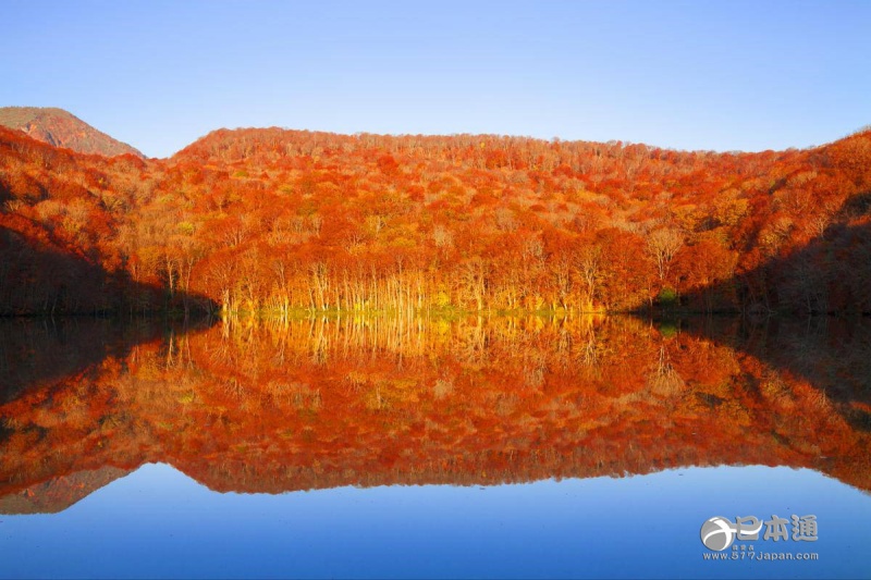 走吧,带你去看日本最美的秋天 走吧,带你去看日本最美的秋天