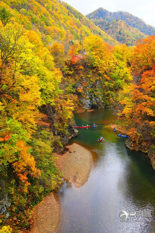 走吧,带你去看日本最美的秋天 走吧,带你去看日本最美的秋天