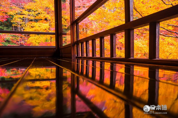 走吧,带你去看日本最美的秋天 走吧,带你去看日本最美的秋天
