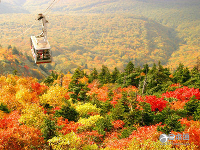 走吧,带你去看日本最美的秋天 走吧,带你去看日本最美的秋天