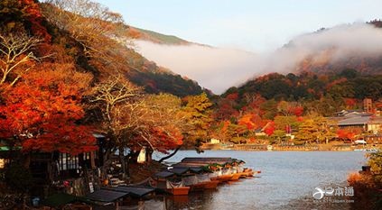 走吧,带你去看日本最美的秋天 走吧,带你去看日本最美的秋天