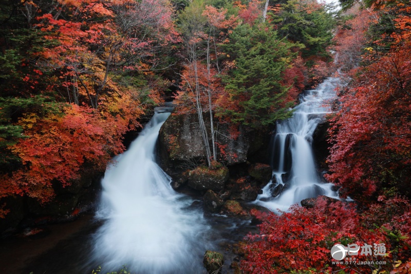 走吧,带你去看日本最美的秋天 走吧,带你去看日本最美的秋天