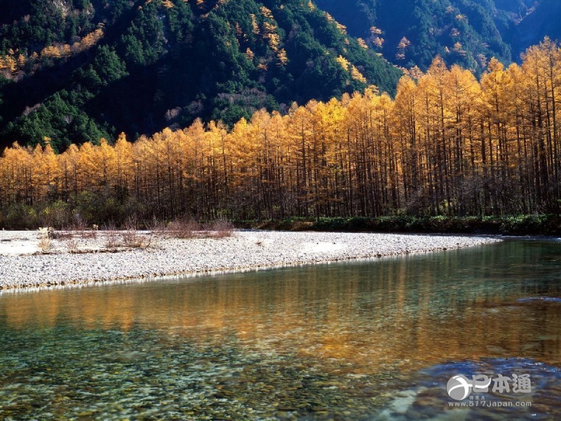 走吧,带你去看日本最美的秋天 走吧,带你去看日本最美的秋天