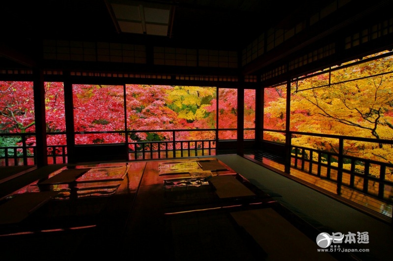 走吧,带你去看日本最美的秋天 走吧,带你去看日本最美的秋天