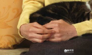 清瘦下来的爱子公主，不知该心疼还是该为她高兴