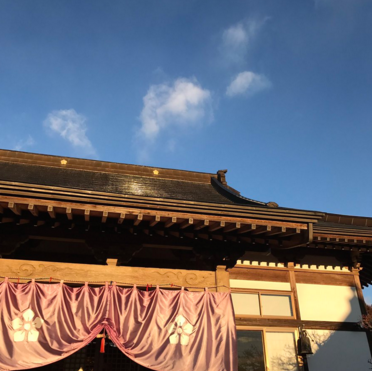 日本长乐寺住持沦为猫奴 沉迷撸猫不可自拔！