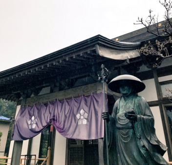 日本长乐寺住持沦为猫奴 沉迷撸猫不可自拔！