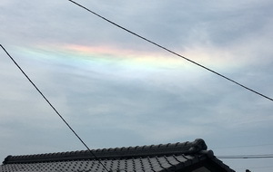 日本长崎县岛原市观测到“环地平弧”罕见奇观