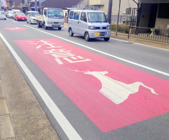 日本奈良随处可见的超萌小鹿究竟有多流氓?你喂了才知道! 日本奈良随处可见的超萌小鹿究竟有多流氓?你喂了才知道!