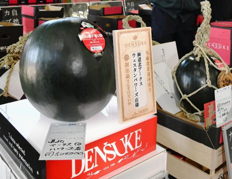 中国夏天随便吃的西瓜，为什么在日本就那么贵？