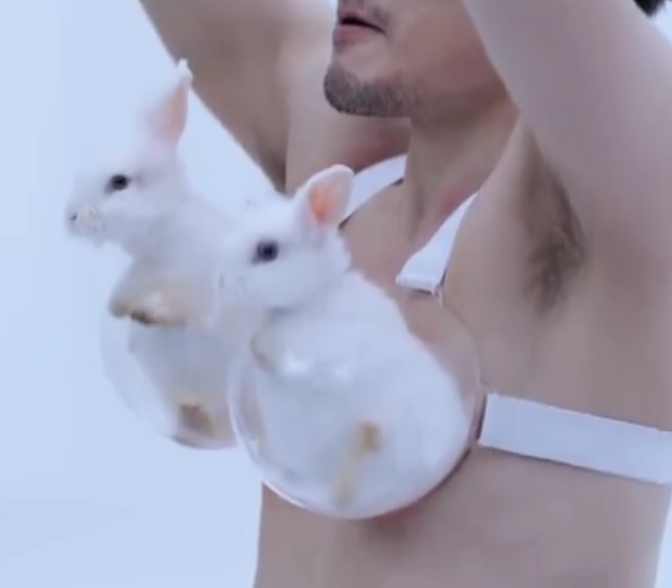 小白兔？哈密瓜？女性的胸部到底有多重？