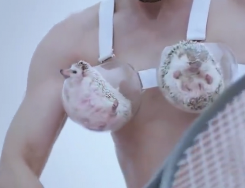小白兔？哈密瓜？女性的胸部到底有多重？
