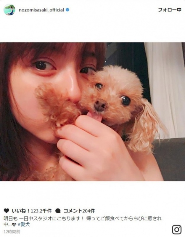 佐佐木希公开与爱犬合影 粉丝羡慕称&ldquo;好想变成那只狗&rdquo;