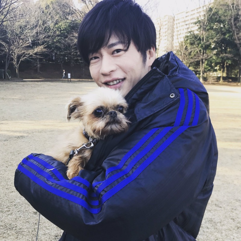 日本可爱犬系男星排名TOP10，柴二宫竟然才排第二？