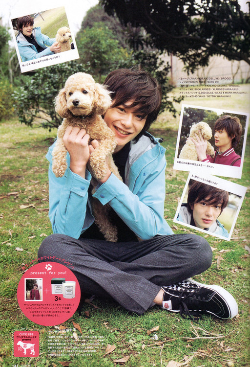 日本可爱犬系男星排名TOP10，柴二宫竟然才排第二？