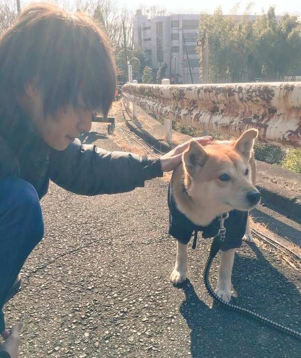 日本可爱犬系男星排名TOP10，柴二宫竟然才排第二？