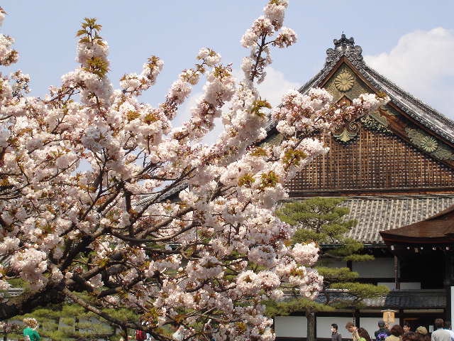 京都也要征收住宿税了，推荐10个景点抓紧来看看……
