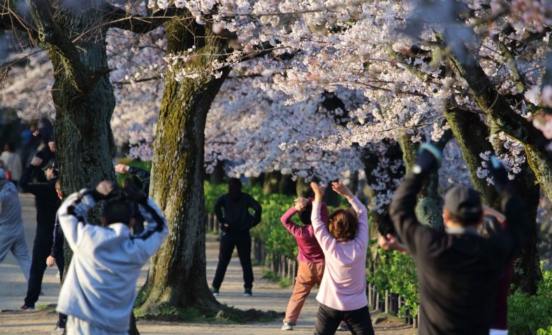 日本哪个地方的人最长寿？