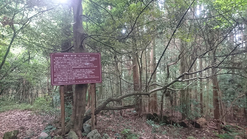 这里不是地狱!没有冷气也可以很凉爽的云仙天国豪华旅游【后篇】