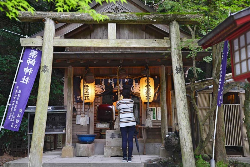 见证奇迹的瞬间 让我们在宫地岳神社的 光之路 上开运吧 日本通 见证奇迹的瞬间 让我们在宫地岳神社的 光之路 上开运吧 日本通