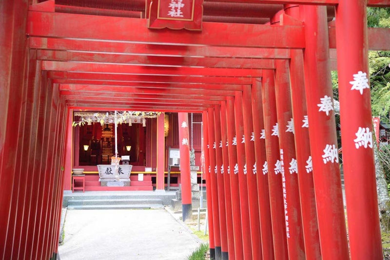 见证奇迹的瞬间 让我们在宫地岳神社的 光之路 上开运吧 日本通 见证奇迹的瞬间 让我们在宫地岳神社的 光之路 上开运吧 日本通
