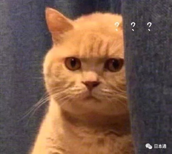 道明寺校园暴力？赤名莉香是绿茶婊？重温神剧，原来这么毁三观？